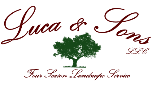 Luca & Son's Tree Service