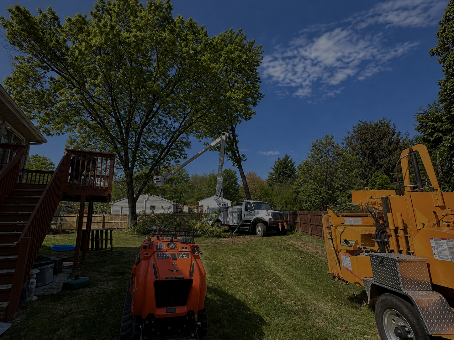 Expert Tree Removal You Can Trust