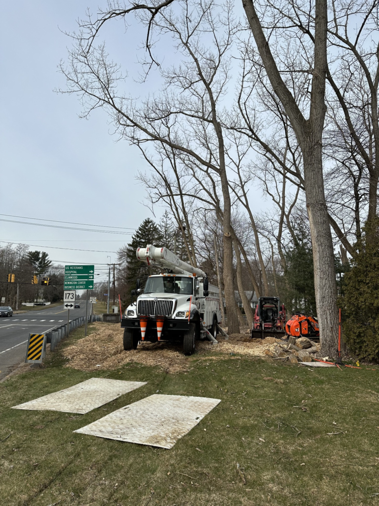 Tree Removal Equipment