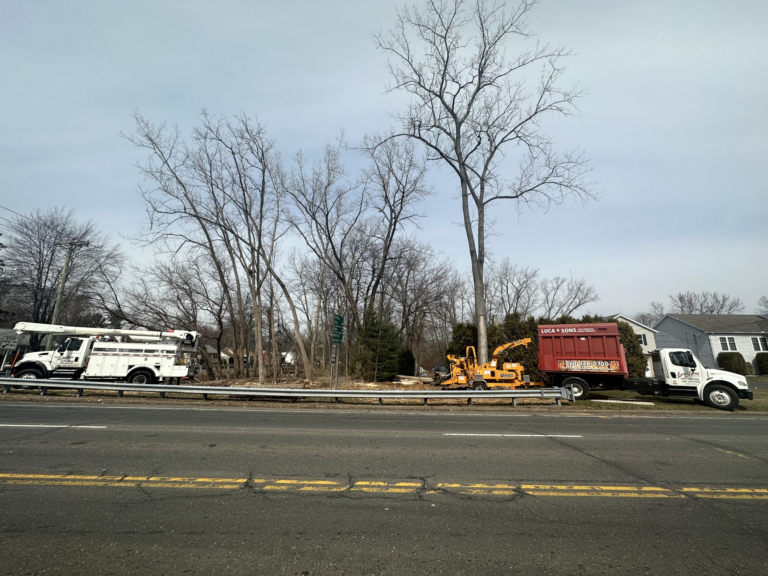 Tree Removal Truck and Wood Chipper