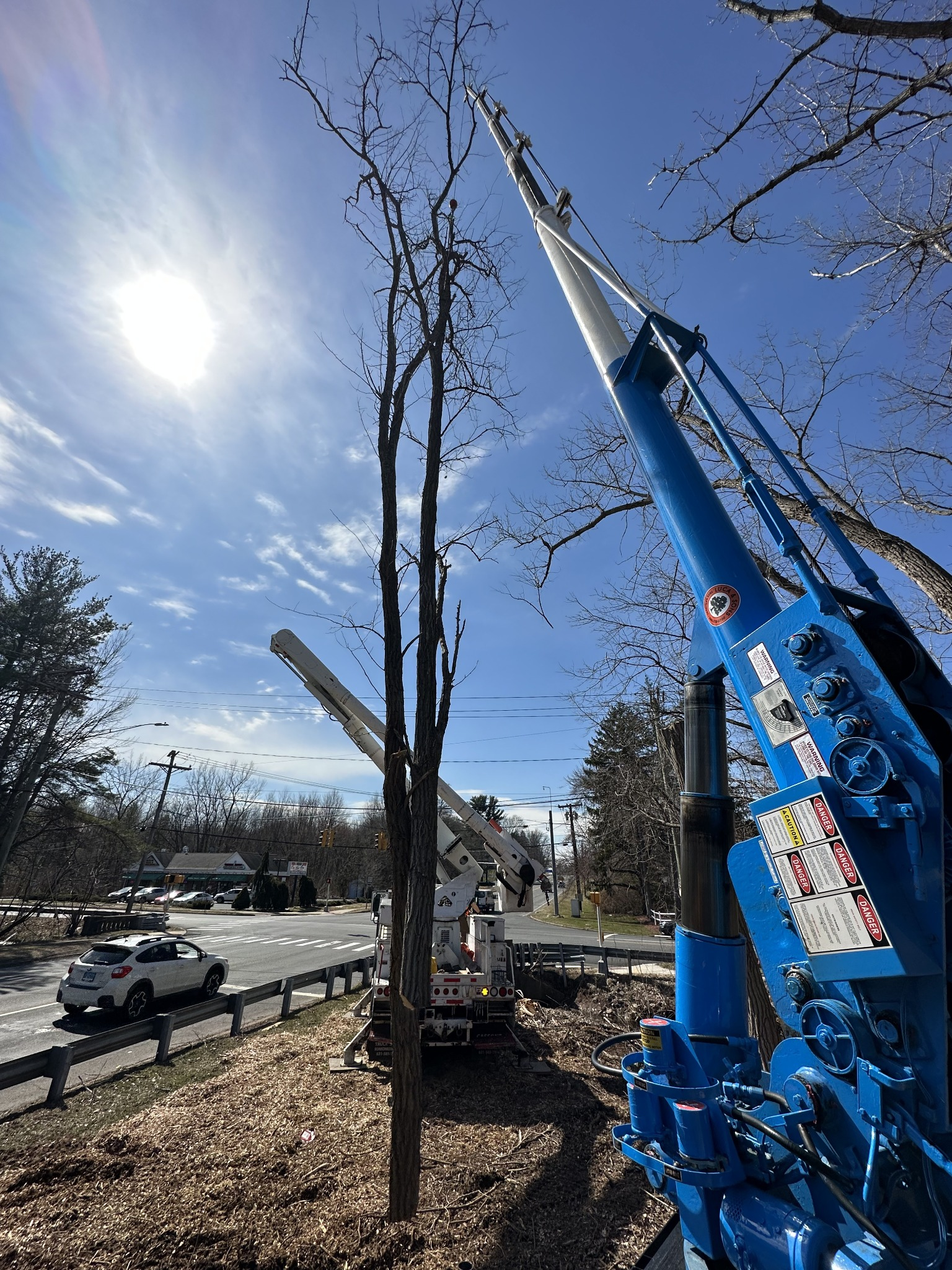 Blue tree removal crane positioned beside a tall leafless tree with a white bucket truck in the background.