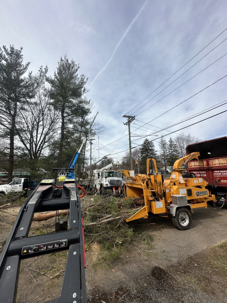 Tree Removal and Wood Chipping Equipment