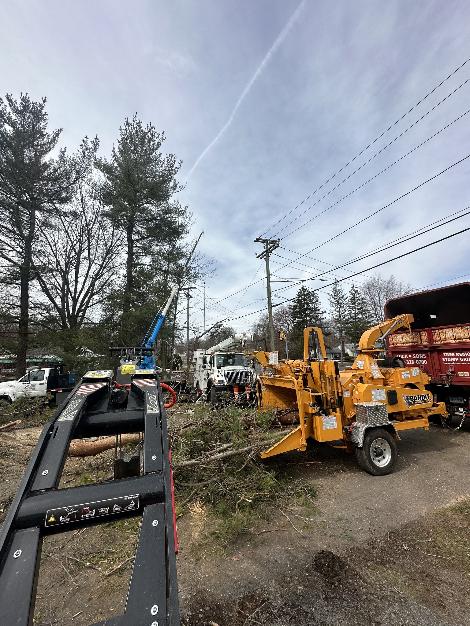 Luca & Sons Tree Removal wood chipper, dump truck, bucket truck, and compact equipment at a work site.