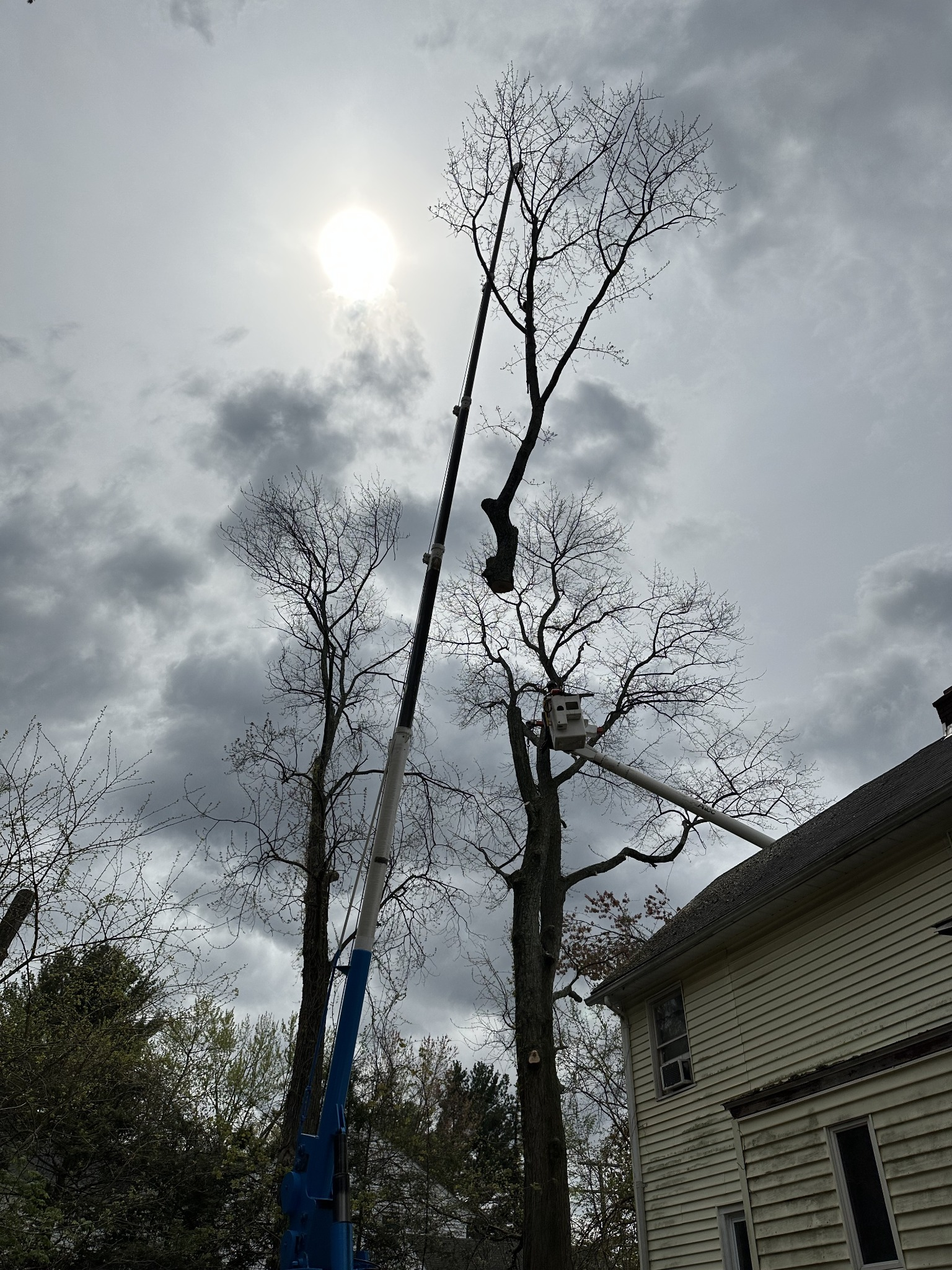 Tree section suspended from a crane above a bucket truck worker near the roof of a residential home.
