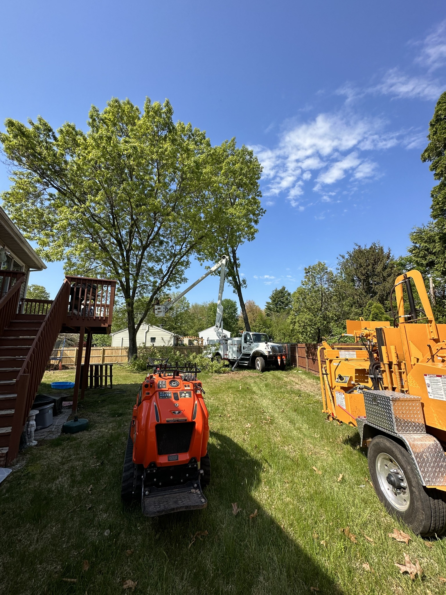 Stump Grinding