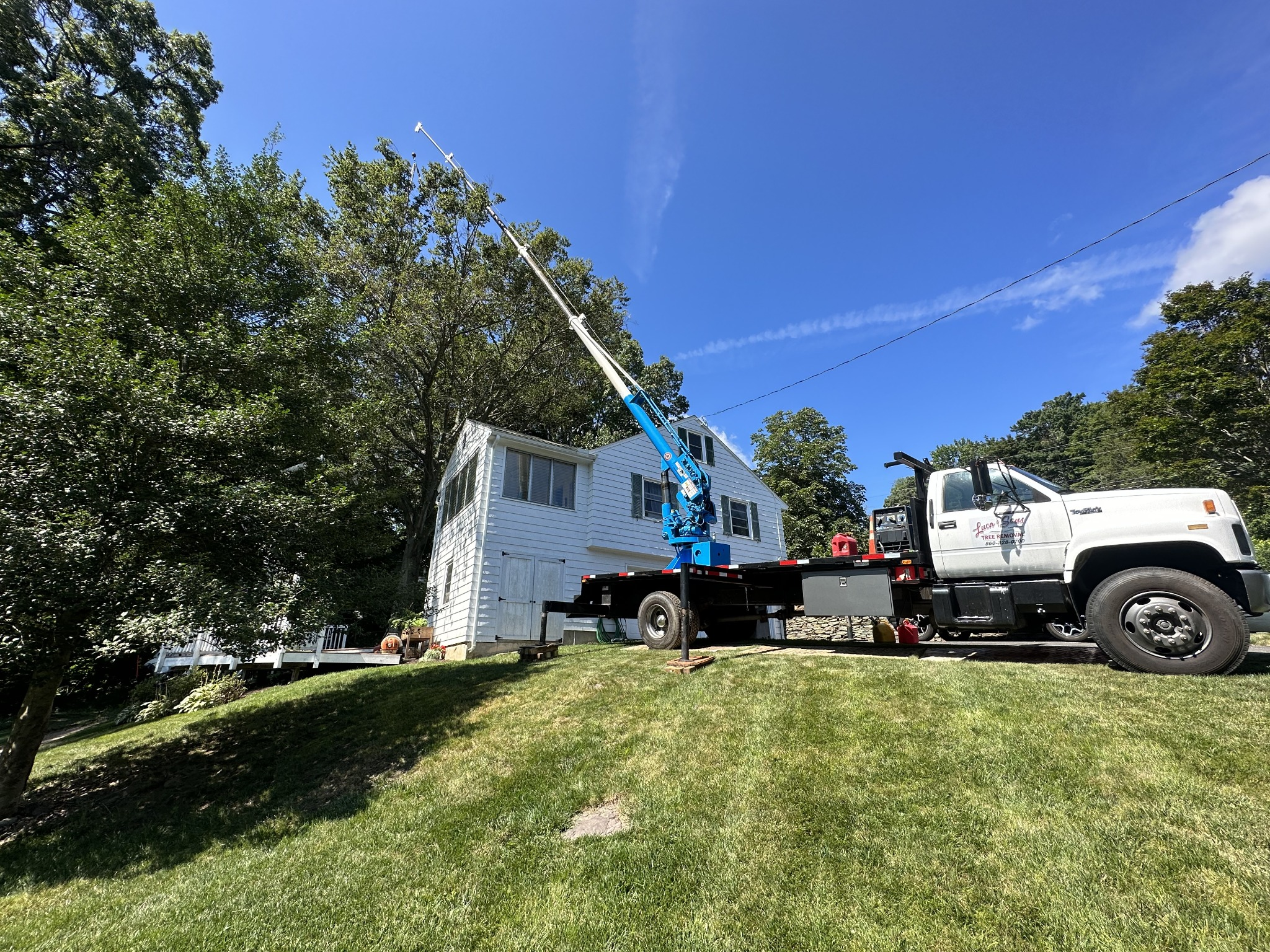 Tree Trimming & Pruning