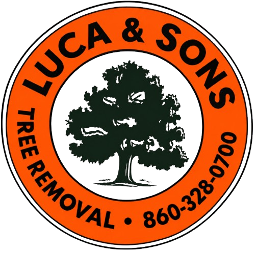 lucaandsonstreeremoval.com
